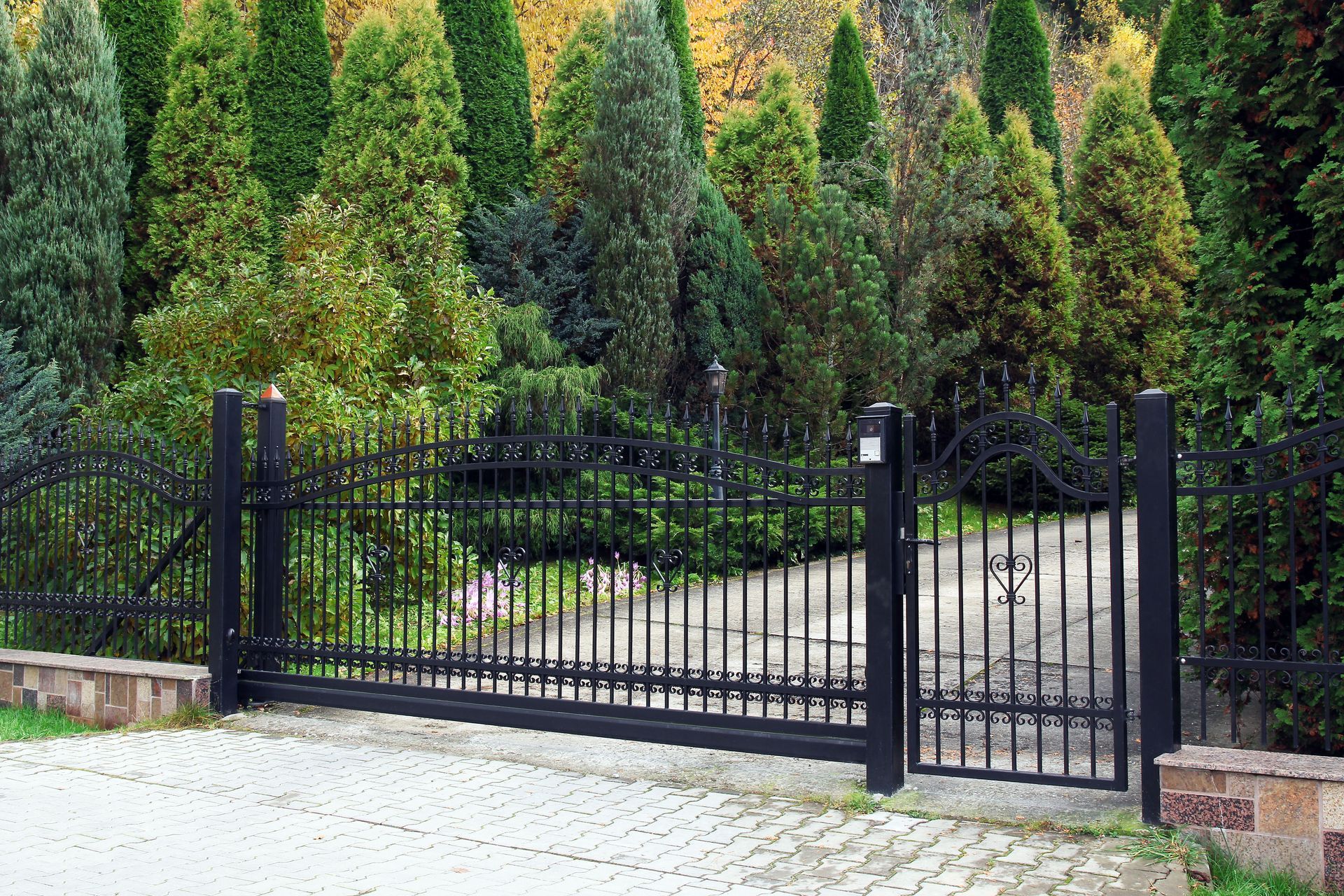 Residential iron gates